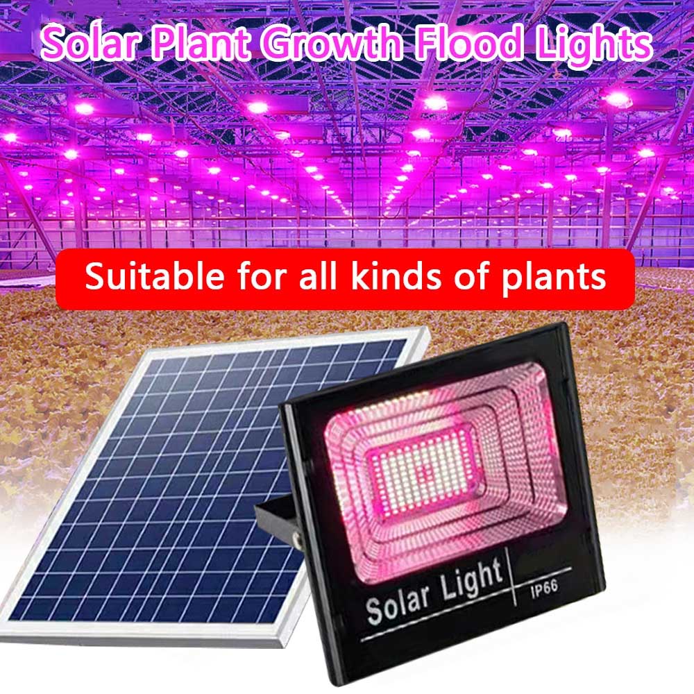 Outdoor Power And Plant - 태양광 LED 성장 조명 전체 스펙트럼