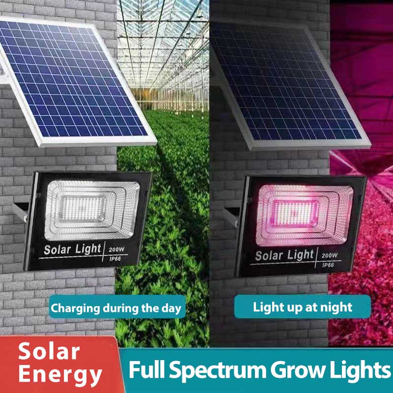 태양광 LED 성장 조명 전체 스펙트럼 투광 조명, 실 - Outdoor Power And Plant 리뷰 및 가격