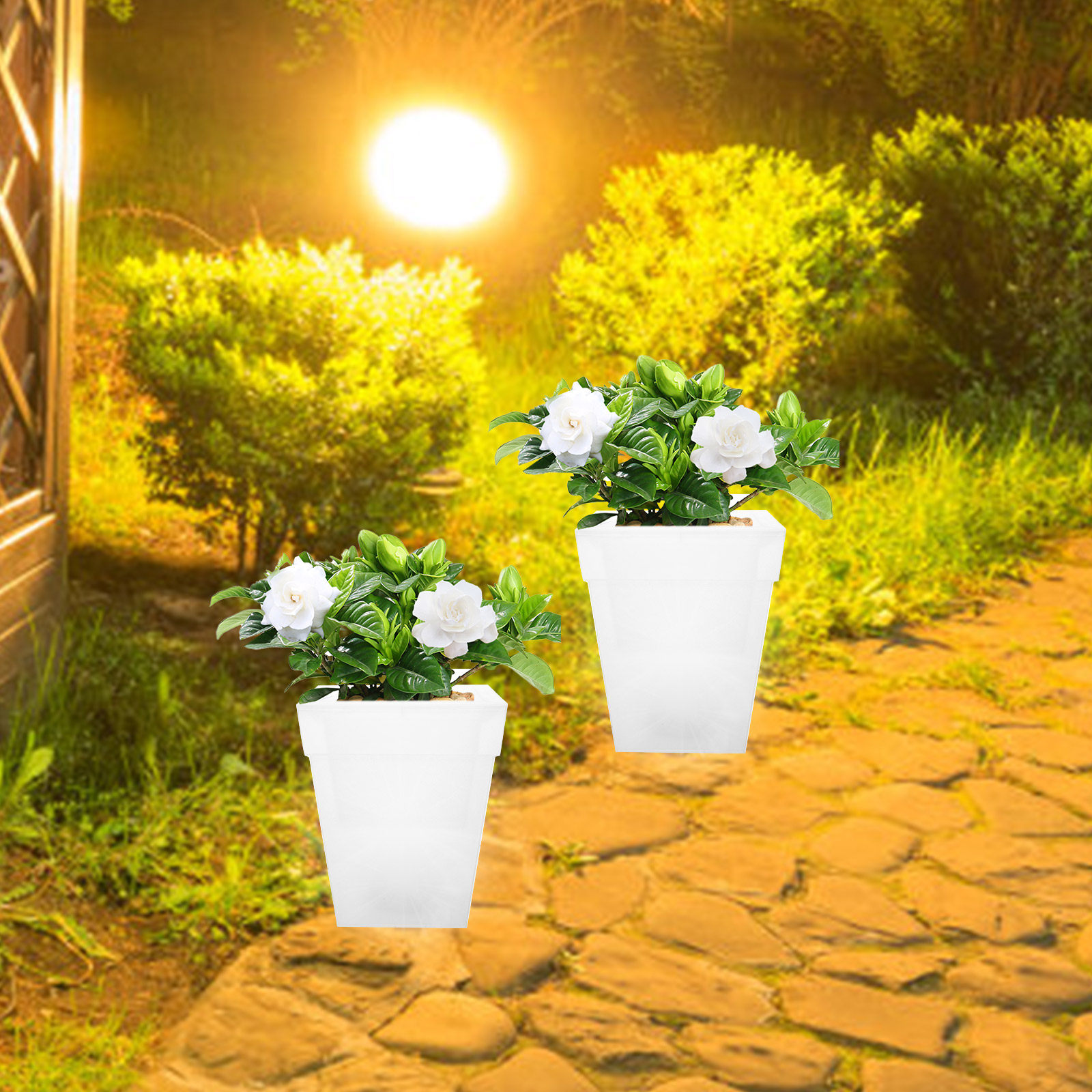 플라스틱 사각 화분 램프 태양광 발전 발광 화분 정원  - Outdoor Power And Plant 리뷰 및 가격