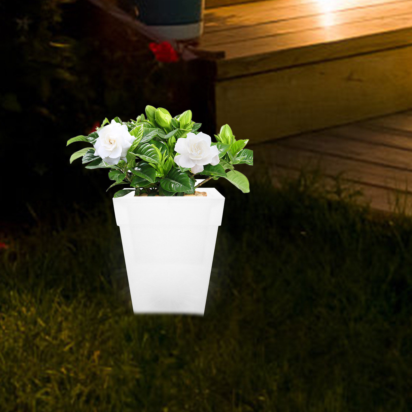 플라스틱 사각 화분 램프 태양광 발전 발광 화분 정원  - Outdoor Power And Plant 리뷰 및 가격